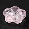 Transparent Glass Beads X-GLAA-F116-02E-5