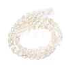 Transparent Glass Beads Strand X1-GLAA-F112-04K-3