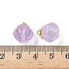 Glass Charms GLAA-P072-04G-05-3