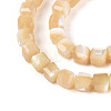Natural Trochid Shell/Trochus Shell Beads Strands SSHEL-N041-04B-02-3