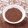 MIYUKI Delica Beads SEED-X0054-DB1837-2