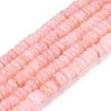 Natural Freshwater Shell Beads Strands SHEL-Q028-01D-1