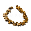 Natural Tiger Eye Beads Strands G-B064-B33-3