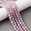 Natural Kunzite Beads Strands G-P587-B01-01-1