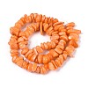 Dyed Natural Freshwater Shell Beads Strands BSHE-T014-55-2