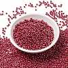 MIYUKI Round Rocailles Beads SEED-X0055-RR0425-2