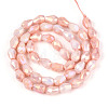 Anti-Tarnish Electroplate Glass Beads Strands GLAA-T025-13A-07-2
