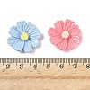 Opaque Resin Cabochon CRES-I048-02-4