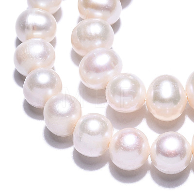 Natural Cultured Freshwater Pearl Beads Strands PEAR-N013-10E-1