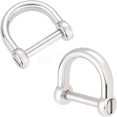 2Pcs 304 Stainless Steel D-Ring Anchor Shackle Clasps STAS-CA0001-56A-1