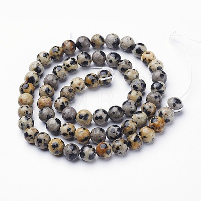 Natural Dalmatian Jasper Beads Strands GSR6mmC004-1