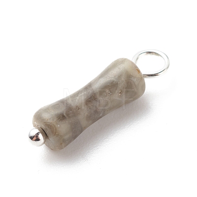 Natural Fossil Pendants PALLOY-JF01839-02-1