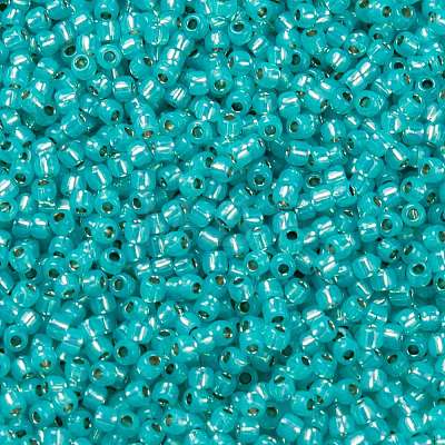 TOHO Round Seed Beads SEED-TR11-PF2104-1
