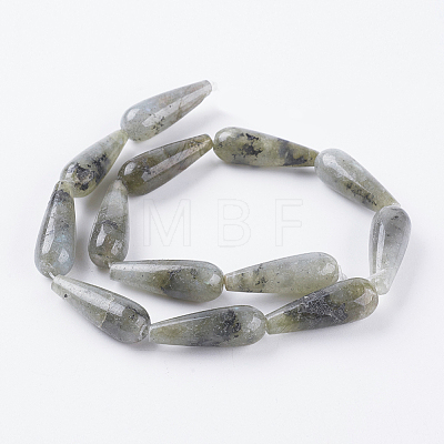 Natural Labradorite Beads Strands G-A175E-B13-1