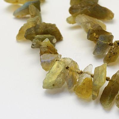 Natural Labradorite Beads Strands G-K202-11A-1