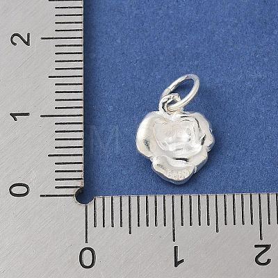 S925 Sterling Silver Pendant STER-H115-08C-S-1