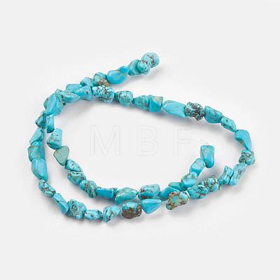 Natural Howlite Beads Strands X-TURQ-G101-03-1