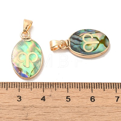 Constellation Natural Paua Shell Pendants KK-P265-01G-04-1