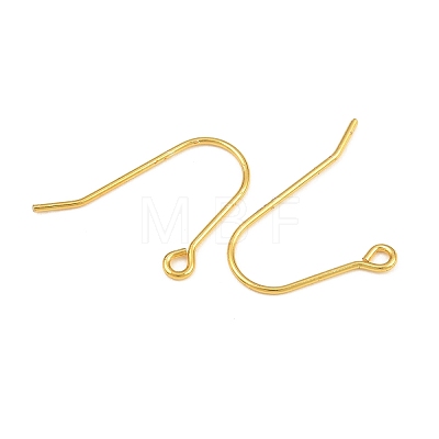 304 Stainless Steel Ear Wires SA-CBA5F7B-01G-1