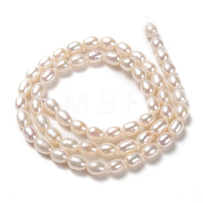 Natural Cultured Freshwater Pearl Beads Strands PEAR-L033-67-01-1