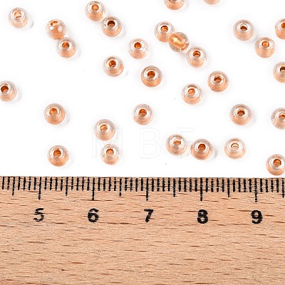 6/0 Transparent Inside Colours Glass Seed Round Beads X1-SEED-N006-004I-1