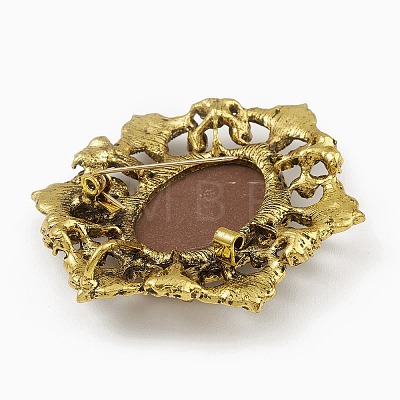 Alloy Rhinestone Brooch for Clothes Backpack JEWB-Q030-53AG-1