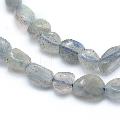 Natural Labradorite Beads Strands X-G-L550A-06-1