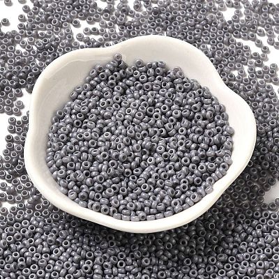 Baking Paint Glass Seed Beads SEED-P006-03A-27-1