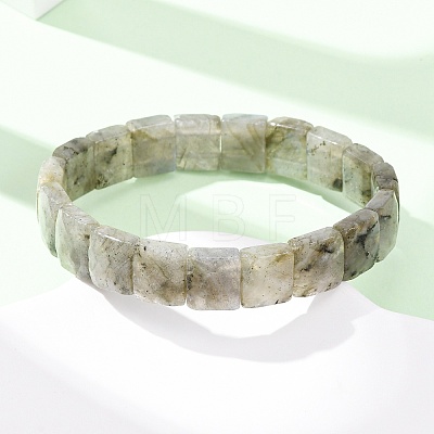 Natural Labradorite Faceted Beaded Stretch Bracelets for Women BJEW-K251-08A-1