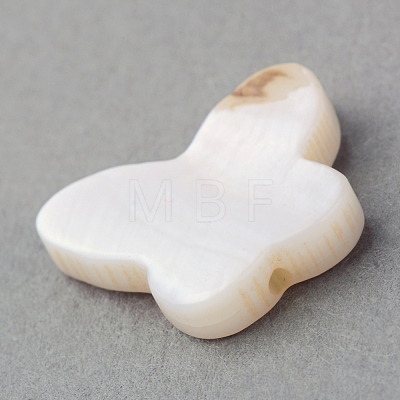 Natural Sea Shell Beads X-SSHEL-Q296-30-1