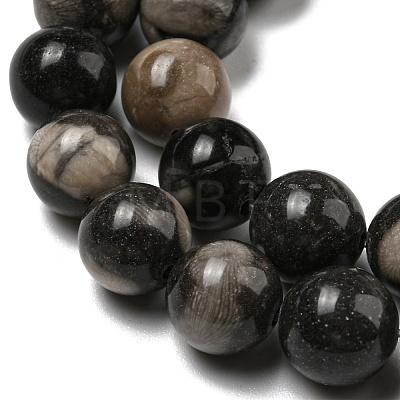 Natural Black Fossil Coral Beads Strands G-R494-A04-04-1