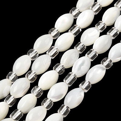 Natural Trochid Shell/Trochus Shell Beads Strands BSHE-A002-05-1