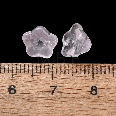 Baking Paint Transparent Glass Beads GLAA-T025-81C-09-1