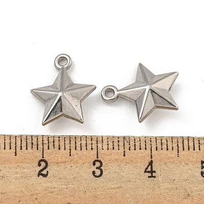 Non-Tarnish 304 Stainless Steel Charms STAS-I307-551P-1