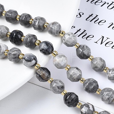 Natural Map Stone/Picasso Stone Beads Strands G-N326-100-09-1