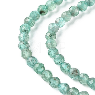 Natural Apatite Beads Strands G-F748-J01-02A-1