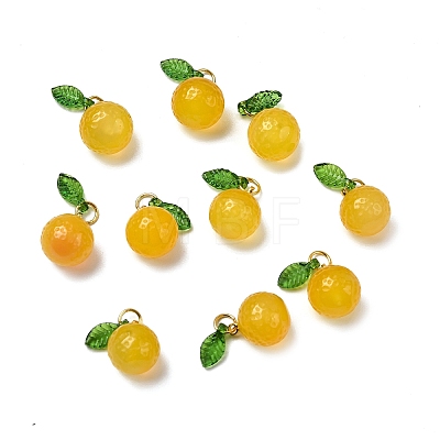Dyed Natural Agate Orange Charms G-U025-07G-1