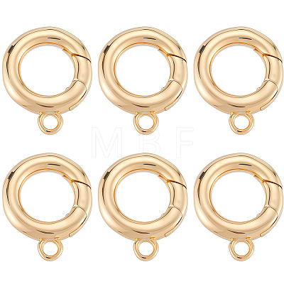 6Pcs Brass Spring Gate Clasps KK-SC0006-42G-01-1