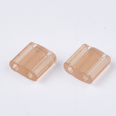 2-Hole Glass Seed Beads SEED-T003-01C-05-1
