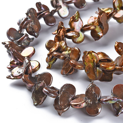 Natural Keshi Pearl Beads Strands PEAR-S021-114C-1