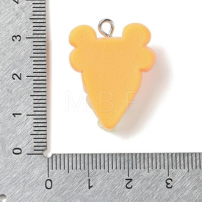 Resin Imitation Food Pendants LS-FIND-U001-02E-1