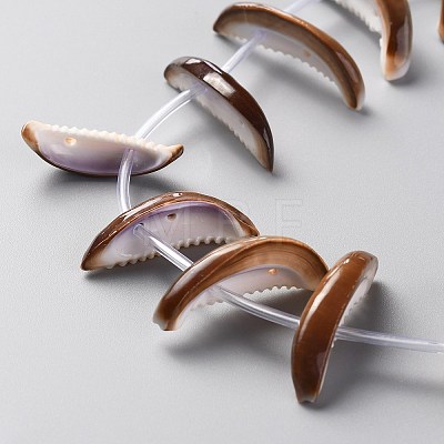 Natural Freshwater Shell Beads Strands SHEL-C001-01-1