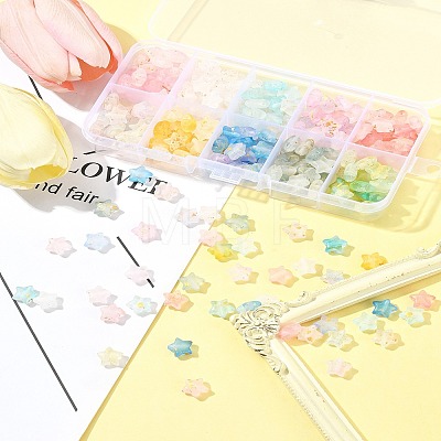 300Pcs 10 Colors Frosted Acrylic Charms OACR-FS0004-09-1