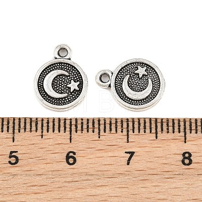 Tibetan Style Alloy Charms AL-CBA27B9-07AS-1