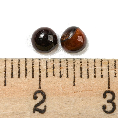 Natural Red  Tiger Eye Dyed Cabochons G-H309-03-49-1