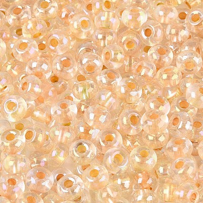 FGB Inside Colours Transparent Glass Seed Beads SEED-T009-01G-1