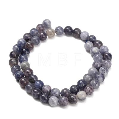 Natural Iolite Beads Strands X-G-G300-A04-8mm-1