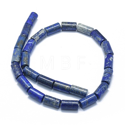 Natural Lapis Lazuli Beads Strands G-F631-F06-1