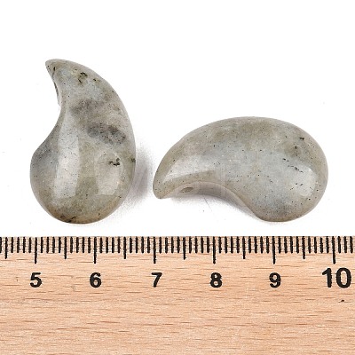 Natural Labradorite Pendants G-B195-03L-1