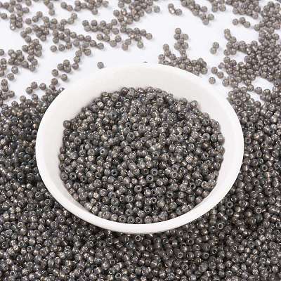 MIYUKI Round Rocailles Beads X-SEED-G008-RR0650-1